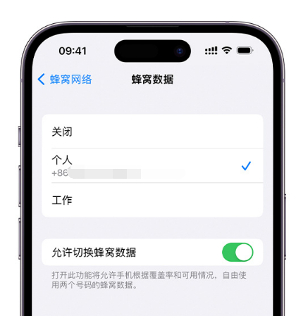 惠阳苹果维修服务分享如何在iPhone上使用双卡 